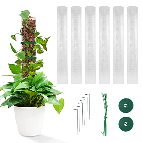 Monstera Rankhilfe, Moosstab 6 Stück 24 Zoll Rankhilfe Monstera Kunststoff-Moosstangen Für Garten Kletterpflanzen Monstera Philodendron Creepers (6PCS) von Tefola