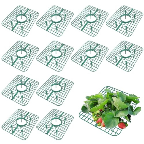 Set mit 12 Erdbeerstützen aus Kunststoff, runder Gitterrahmen für den Außenbereich, zum Schutz von Erdbeeren und reifen Tomaten, verhindert das Verrotten von Früchten nach Kontakt mit Boden, Set mit 12 Erdbeerstützen aus Kunststoff, runder Gitterrahmen für den Außenbereich, zum Schutz von Erdbeeren und reifen Tomaten, verhindert das Verrotten von Früchten nach Kontakt mit Boden, von Tefola