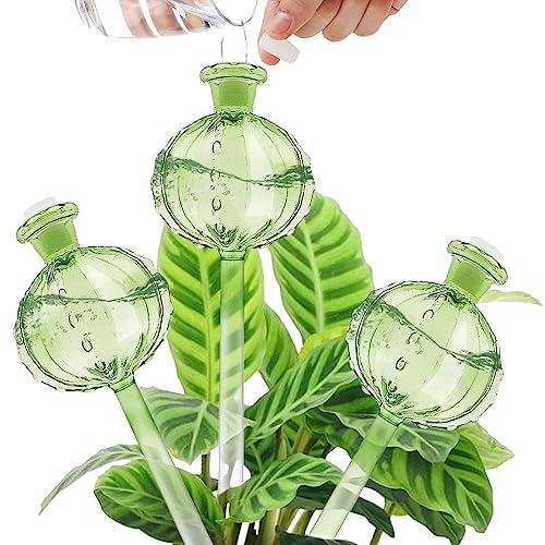 Tefola 3pcs Plant Watering Globes, Cactus Self Watering Spikes, Pflanzenbewässerungsbirnen, Plant Watering Devices, Automatic Self-Waterers System for Indoor and Outdoor Plants von Tefola