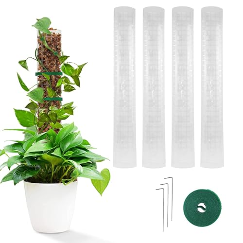 Monstera Rankhilfe, Moosstab 24 Zoll Rankhilfe Monstera Kunststoff-Moosstangen Für Garten Kletterpflanzen Monstera Philodendron Creepers (4PCS) von Tefola