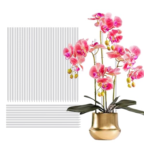 Tefola Pflanzenstützstäbe, 30 Stück, 40 cm, Acryl-Pflanzenpfähle, transparente Pflanzstäbe für Zimmerpflanzen, Gartenblumen, für Orchideen, Erbsen, Gemüse von Tefola