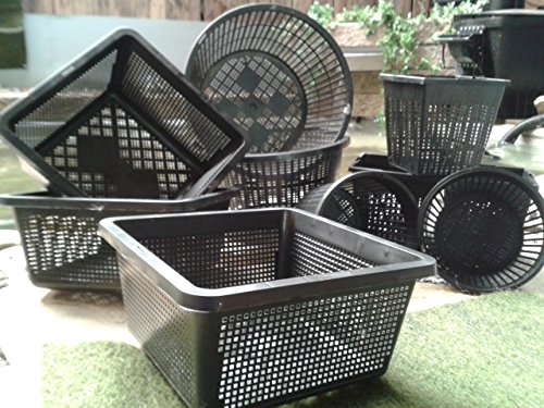 10 Pflanzkörbe 4 Verschiedene Größe von 11-23 cm Teichpflanzen Pflanzkorb Teich 10 Pflanzkörbe 4 Verschiedene Größe von 11-23 cm Teichpflanzen Pflanzkorb Teich von Teichbauzentrum Sankt Julian