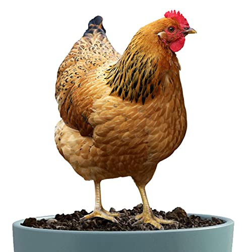 Teksome Hühnerhof-Kunst | Henne Huhn Acrylskulptur | Lebensechte Hühner-Hofpfähle, Hühnerskulpturen für die Dekoration von Hof, Terrasse, Rasen und Garten von Teksome