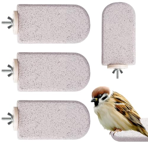 Teksome Vogel Sitzstangen Für Käfig | 4 Stück Vulkanstein Mattierte Vogelkäfig Sitzstange Ständer Äste | Nagestab Pfotenpflege Spielzeug Zur Training Für Sittiche Nymphensittiche Käfig Und Freiflug Teksome Vogel Sitzstangen Für Käfig | 4 Stück Vulkanstein Mattierte Vogelkäfig Sitzstange Ständer Äste | Nagestab Pfotenpflege Spielzeug Zur Training Für Sittiche Nymphensittiche Käfig Und Freiflug von Teksome