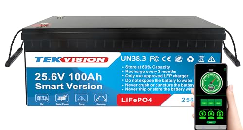 Tekvision Lithium LiFePO4 Akku 24V 100Ah Versorgung Batterie mit BMS Wohnmobil Boot Solaranlage Wohnwagen Solar Haushalt (24V 100Ah) von Tekvision