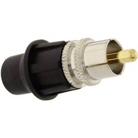Telecom Security KCM Cinch-Steckverbinder Stecker, gerade Polzahl (num): 2 Telecom Security KCM Cinch-Steckverbinder Stecker, gerade Polzahl (num): 2 von Telecom Security