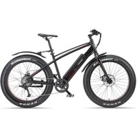 Telefunken E-Bike "Aufsteiger FM350", 8 Gang, Heckmotor 250 W, (26 Zoll x 4,00 Breitreifen-ca. 100km Reichweite-Geländebike off road) von Telefunken