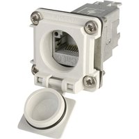 100022952 stx V6 RJ45-Flanschset Variante 6 100022952 Chassisbuchse, Einbau Pole: 8P8C - Telegärtner von Telegärtner