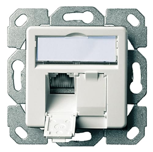 TELEGAERTNER UPDose Cat6/Cl.E double 2xRJ45 alpinwhite AMJ45 von TELEGARTNER