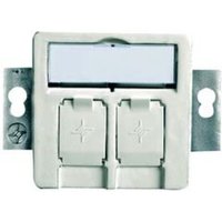 Telegärtner Modul-Aufnahme 2fach UP/50 aws leer f.BR 100021416 von Telegärtner