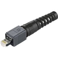 Telegärtner J80026A0016 RJ45-Steckerset Variante 4 J80026A0016 Stecker, gerade Pole: 8P8C Schwarz 1 von Telegärtner