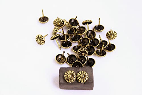 Telliswelt 100 Qualitäts Ziernägel Polsternägel Nagel - Made in Germany- 11mm Ornamente von Telliswelt