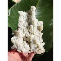 Chalcedon Stalactit von TellurianCrystals