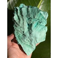 Einzigartige Platte Aus Natürlichem Chrysocolla Mit Schönen Taschen Von Malachit von TellurianCrystals