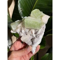 Grüner Apophyllit Aus Indien von TellurianCrystals
