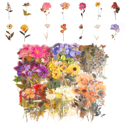 320 Stück Blumen Sticker Scrapbooking Blumen Aufkleber Set Vintage Geprägte Aquarell Aufkleber PET Transparente Pflanzen Blumenaufkleber Bunte Stickers Scrapbooking für Fotoalben DIY Karten von Telooco