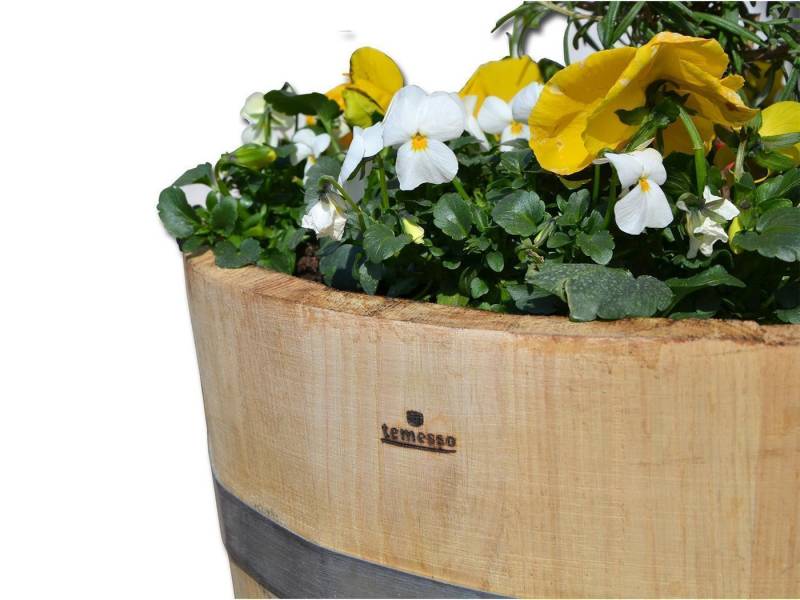 Temesso Pflanzkübel 30-60 cm Durchmesser von Temesso