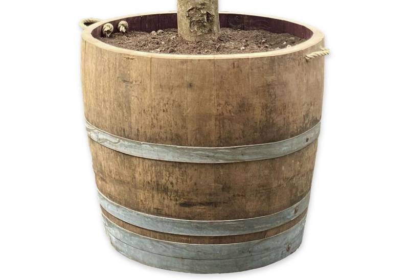 Temesso Pflanzkübel Extra HOHES Weinfass halbiert - Höhe 50-54 cm von Temesso