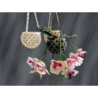 Orchideen Pflanztopftopf Hängen Mit Löchern. in Beige, Grau Und Weiß. Ca. 10cm Durchmesser von TemporaDigital