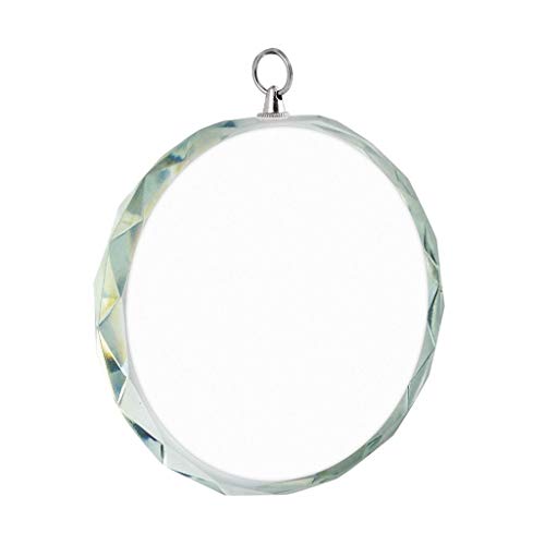 Ten Runde Medaille aus Glas mit verziertem Rand cod.EL56043 cm 8x8x1,2h by Varotto & Co. von Ten