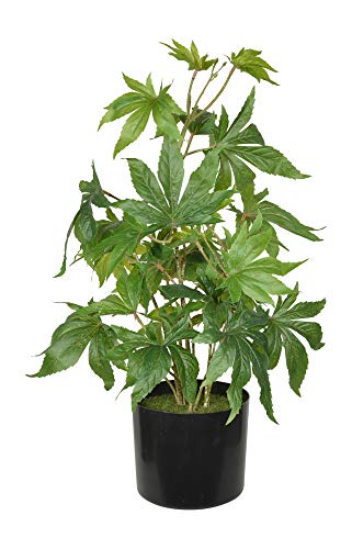 TenWaterloo 61 cm künstliche Marihuana-Pflanze, Topfpflanze, Cannabis-Pflanze TenWaterloo 61 cm künstliche Marihuana-Pflanze, Topfpflanze, Cannabis-Pflanze von TenWaterloo