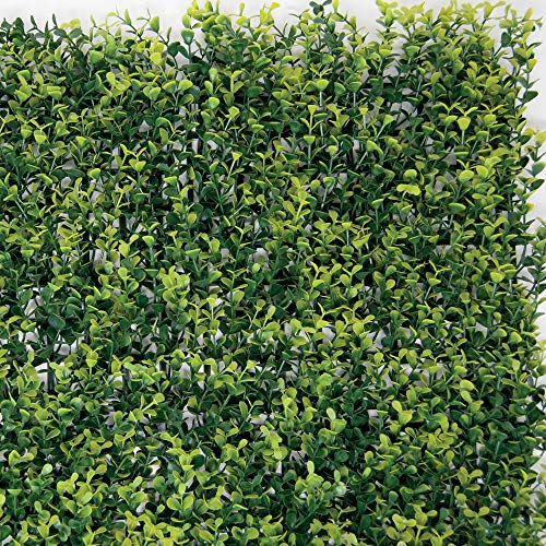TENAX Divy Panel Buxus 0,5x1 m Grün, Synthetische Hecke mit Buchsbaumblättern aus zusammensetzbaren Modulen zur vertikalen Gartenwanddekoration von TENAX