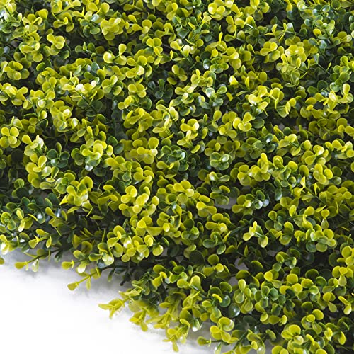 TENAX Divy Panel Buxus 0,5x1 m Grün, Synthetische Hecke mit Buchsbaumblättern aus zusammensetzbaren Modulen zur vertikalen Gartenwanddekoration von TENAX