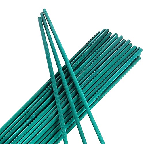 Tenax Bamboo Stick cm 50 Grün, Stützstäbe für Topfpflanzen, 15 Stück, Mini Stütze aus natürlichem Bambus als Stütze für Topfpflanzen und -Blumen von TENAX