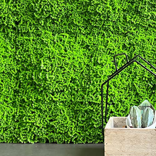 Tenax Divy 3D Muscus 1,00x1 m Grün, Künstliche Moosartige Hecke, Modulares Moosmodul für Vertikale Gärten und Dekorationen von TENAX