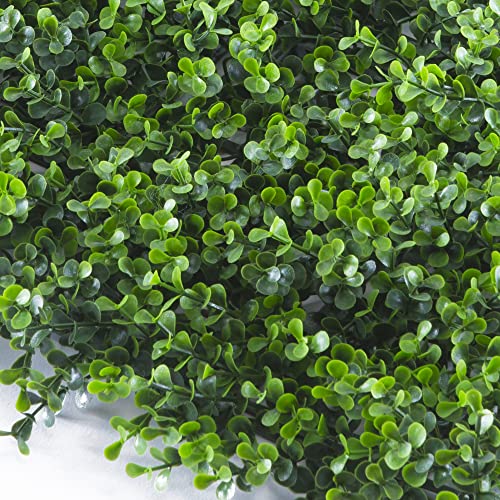 TENAX Divy Panel Buxus Intense 0,5x0,5 m Grün, Synthetische Hecke mit Buchsbaumblättern aus zusammensetzbaren Modulen zur vertikalen Gartenwanddekoration von TENAX