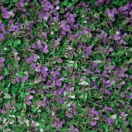 Tenax Divy Panel Buxus Lilac 0,5x1 m Grün/Lila, Synthetische Hecke mit Buchsbaumblättern aus zusammensetzbaren Modulen zur vertikalen Gartenwanddekoration von TENAX