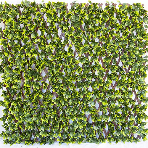 TENAX Divy 3D Trellis 100x200 cm Grün/Braun, synthetische Hecke auf dehnbarer Tragstruktur aus PVC von TENAX