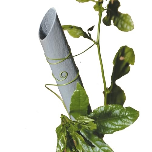 Tenax Stand Up Stütze für Gemüsepflanzen, Höhe 150 cm, Durchmesser 2,3 cm Grau, Stütze für den Garten von TENAX