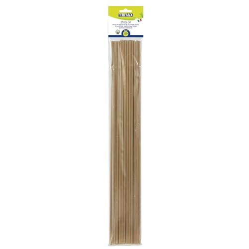 Tenax Stick Up cm 60 Beige, Stützstäbe für Topfpflanzen, 20 Stück, Mini Stützen aus Kunststoff für Topfpflanzen und -Blumen von TENAX