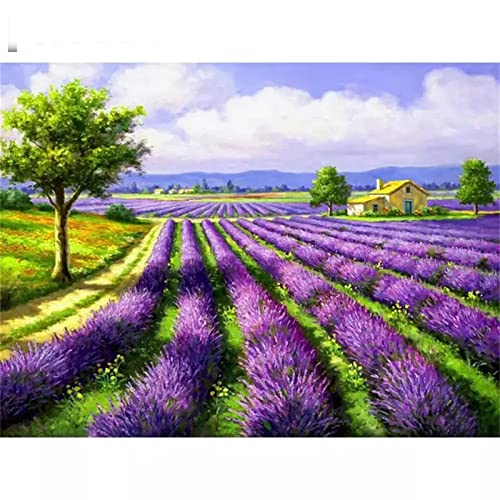 5D DIY Diamond Painting Bilder Full Drill,Lavendelfeld Diamant Malen nach Zahlen Set für Erwachsene Kinder Strasssteine Kristallartiges Kreuzstichset Full für Home Wall Décor Round Drill,30x40cm von TengYuer