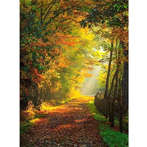 5D DIY Diamond Painting Bilder Full Drill,Waldlandschaft Diamant Malen nach Zahlen Set für Erwachsene Kinder Strasssteine Kristallartiges Kreuzstichset Full für Home Wall Décor Square Drill,50x70cm von TengYuer