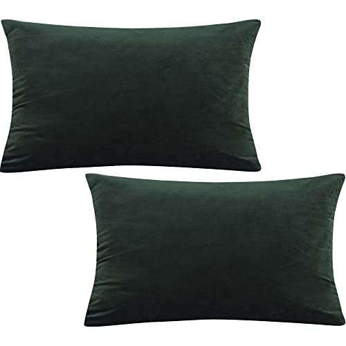 Tennove 30x50cm Samt Kissenbezug 2er Set Soft Zierkissenbezüge Dunkelgrün Kissenbezüge Dekorativer Kissenbezug Kissenhülle für Sofa Couch Home Schlafzimmer von Tennove