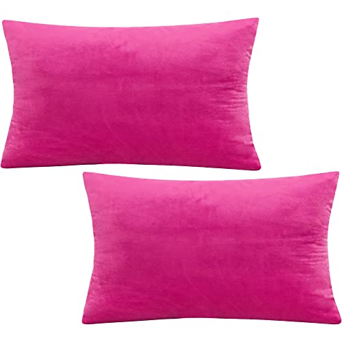 Tennove 30x50cm Samt Kissenbezug 2er Set Soft Zierkissenbezüge Rosenrot Kissenbezüge Dekorativer Kissenbezug Kissenhülle für Sofa Couch Home Schlafzimmer von Tennove