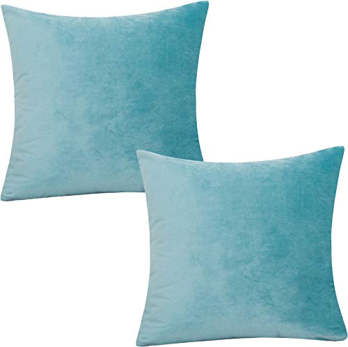 Tennove 45x45cm Samt Kissenbezug 2er Set Soft Zierkissenbezüge Grüner See Kissenbezüge Dekorativer Kissenbezug Kissenhülle für Sofa Couch Home Schlafzimmer von Tennove