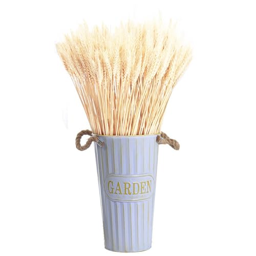 Teogneot 100 Stück Weizen getrocknet Natürliche getrocknete Weizenähren, Für Blumenstrauß Requisiten, Heim- Oder Partydekorationen 40cm(Primärfarbe) von Teogneot