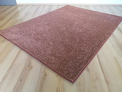 Miami Teppich Rosenholz rosa Rose Velours umkettelt - Verschiedene Größen (250 x 350 cm) von Teppich Janning