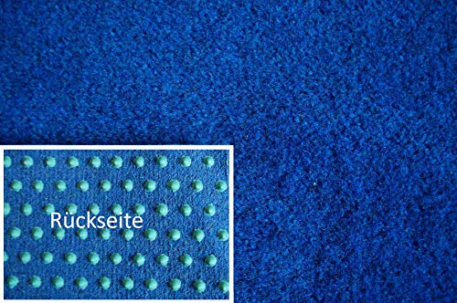 Rasenteppich Kunstrasen Premium blau Velours Weich Meterware (200x200 cm) von Teppich Janning