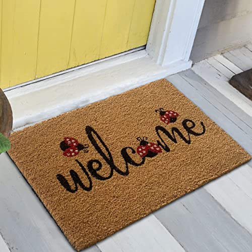 Teppich-Traum Robuster Fußabtreter • Kokos Naturfasern • „Welcome“ Marienkäfer schwarz rot, 40 x 60 cm von Teppich-Traum