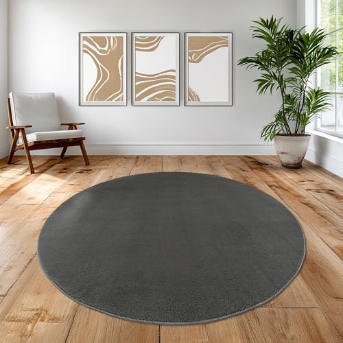 Teppich-Traum Teppich Wohnzimmer Schlafzimmer Büro stilvoll tief modern elegant weich pflegeleicht klassisches Accessoire dekorativ hochwertig zeitlos harmonisch anthrazit 160 cm Rund Teppich-Traum Teppich Wohnzimmer Schlafzimmer Büro stilvoll tief modern elegant weich pflegeleicht klassisches Accessoire dekorativ hochwertig zeitlos harmonisch anthrazit 160 cm Rund von Teppich-Traum