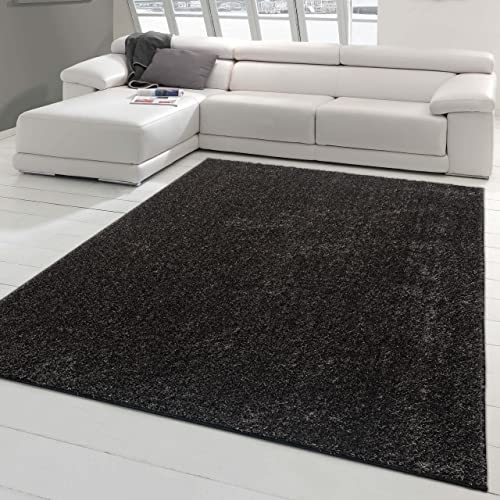 Teppich-Traum flauschig weicher Shaggy Wohnzimmer Teppich • glamourös • in anthrazit, 160x230 cm von Teppich-Traum
