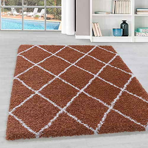 Hochflor Wohnzimmer Teppich Modern Deko Geometrisch Design Flauschiger & Weicher Langflor Shaggy Rechteckig Teppich Schlafzimmer Farbe: Terrakotta, Grösse: 80 x 250 cm von Teppium