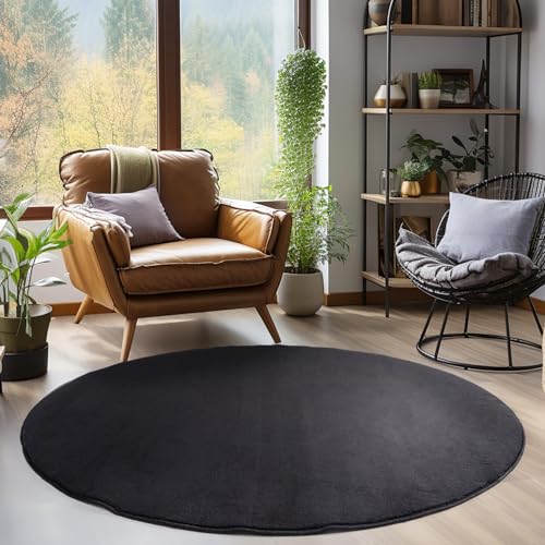 Teppium rutschfest Kurzflor Teppich Wohnzimmer 120 cm Rund Schwarz - Waschbarer und Flauschiger Teppich Extra Weich - Modern Einfarbig Teppich für Schlafzimmer, Kinderzimmer, Esszimmer und Küche von Teppium