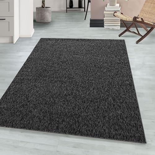 Teppium Moderner Kurzflor Teppich Wohnzimmer 200x300 (200 x 290 cm) Anthrazit - Waschbarer Teppich Meliert, Flauschig, Weich und Einfarbig - für Schlafzimmer, Esszimmer oder Küche von Teppium