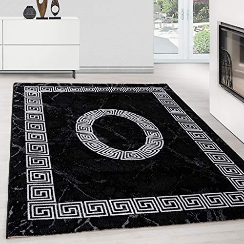 Teppium Moderner Kurzflor Teppich Wohnzimmer 240 x 340 cm Schwarz - Flauschiger Teppich Waschbar, Mäander-Design, Pflegeleicht, Weich - Ideal für Schlafzimmer, Esszimer und als Küchenteppich von Teppium