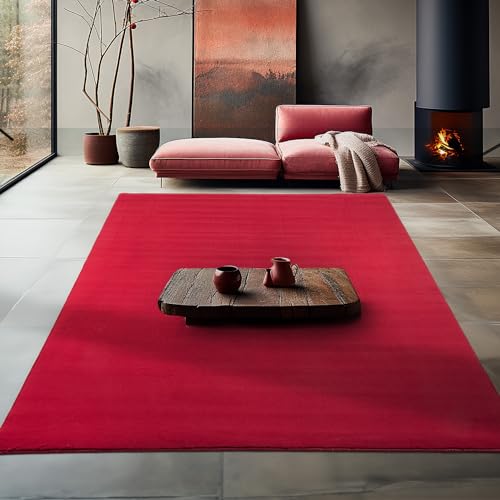 Teppium Rutschfester Kurzflor Teppich 80 x 250 cm Rot - Waschbar, Flauschig und Extra Weich - Modern Einfarbig für Küche, Schlafzimmer, Kinderzimmer, Esszimmer und Wohnzimmer von Teppium